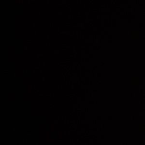 Meet your Posher, Cory